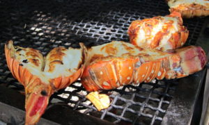The annual lobster ban is officially underway
