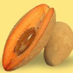Zapote /mamey / sapote