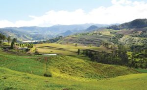 Constanza: Nature at its Best, Ecotourism, Agricultural Tourism and the “Enchanted Valley”