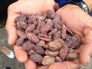 Discover the Dominican republic through food tours