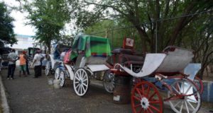 Horses and carriages disappear from Santiago
