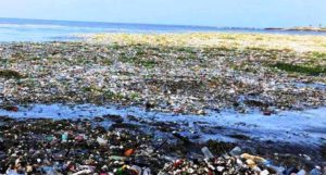 Corona Beer company cleans up the beach at La Boca, Cabarete