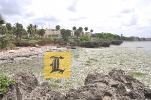 Plastics swamp in Santo Domingo coastal waters
