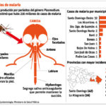 Residents concerned with increase in malaria in Santo Domingo West
