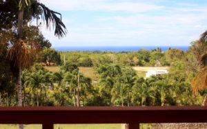 eco bungalows sosua vacation rentals