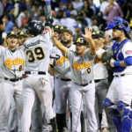 Dominican Professional Winter Baseball Championship began
