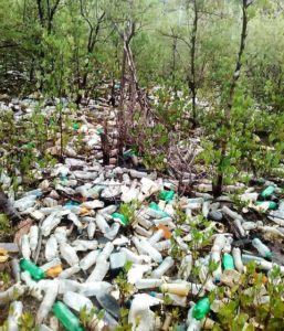 The Environment undertakes the cleaning of mangroves in Luperon Bay