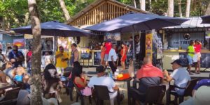 the tree house beach party