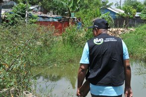 Malaria and dengue on the rise