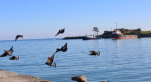 Cost of new wharf in Puerto Plata will be on concessionaire