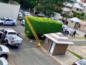 Gang of assailants hit upon 11 people taking a stroll in the Las Praderas park area in SD