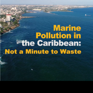 New World Bank report calls for urgent action to tackle marine pollution
