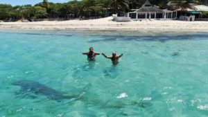 Presence of a dolphin was a sensation on the beach of Malecon, Puerto Plata