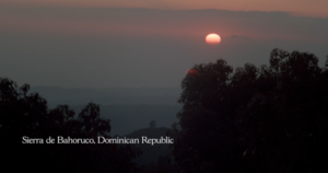 Avocado Rise tells how the delicious fruit is destroying Dominican protected area