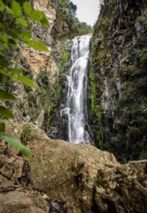 Many protected areas are open for visitors