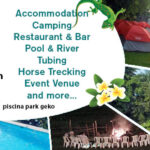 Geko Piscina Restaurant Camping Cabarete Sabaneta de Yasika