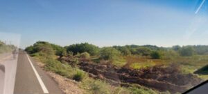 Mangrove protected area assaulted by monied interests