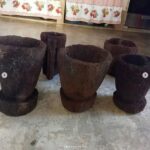 el jardin de rosario sosua vivero nursery