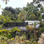 vivero francisco islabon sabaneta