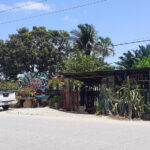 vivero francisco islabon sabaneta