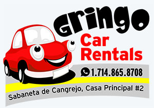 Logo Gringo Car Rentals