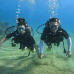 dive cabarete PADI courses scuba diving sosua 