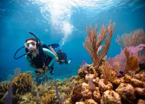 dive cabarete PADI sosua beach dominican republic