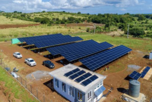 Sunfarming Food & Energy to build 50 Mw photovoltaic agro-energy complex