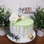 Melancia cakes sosua cake shop
