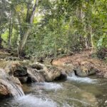 Newly built 2BR house for rent near national park | Sabaneta de Yasika