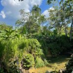 Newly built 2BR house for rent near national park | Sabaneta de Yasika