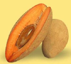Zapote /mamey / sapote