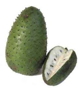 Guanábana / soursop