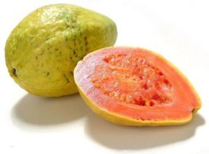 Guayaba / guava