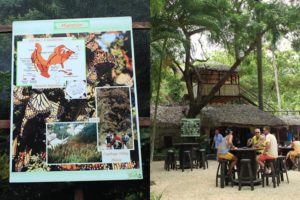 Bayahibe’s Butterfly Park